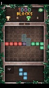 1000 Blocks Screenshot 2