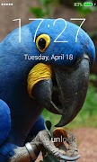 Parrot Lock Screen 截圖 3