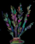 AndrFRpaint screenshot 6