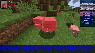 برنامه‌نما Damage Indicator Minecraft PE عکس از صفحه