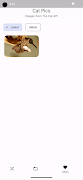 Cat Pictures ภาพหน้าจอ 2