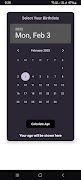 Age Calculator 포스터