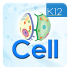 Cell Organelles - Biology icône