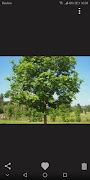 Gallery captura de pantalla 4