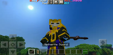 Player Animation MOD for MCPE poster