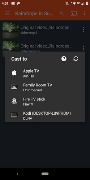 XtremeCast Chromecast, Roku تصوير الشاشة 2