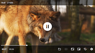 Video Player screenshot 3