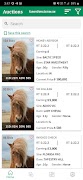 HarnessHorseAuction পোস্টার
