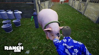 Ranch Simulator Mobile Mods penulis hantaran