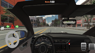 Driving Simulation ảnh chụp màn hình 3