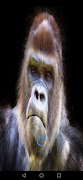 chewbacca sound ภาพหน้าจอ 1