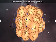 Double circulation Screenshot 4