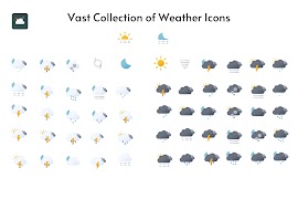Flora Weather - Komponent постер