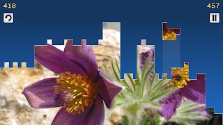 Tris Puzzles ảnh chụp màn hình 7