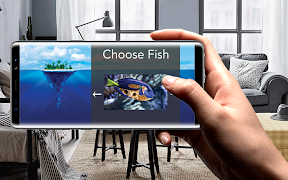 Flashy Fish bài đăng