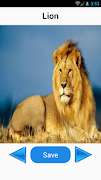 برنامه‌نما Animal Sounds عکس از صفحه
