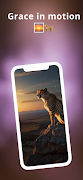 1 Schermata Cheetah Wallpapers HD