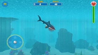 برنامه‌نما Shark Attack Wild Simulator عکس از صفحه