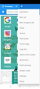 Web browser screenshot 1