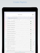 LitePlayer captura de pantalla 7