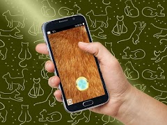 Cat Lovers Flashlight screenshot 4