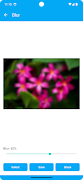 Pixel Monkey-Free Image Editor скриншот 7