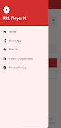 URL Player X captura de pantalla 1