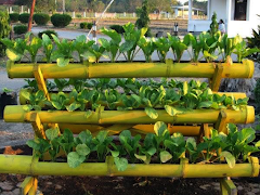 Flowered Pots syot layar 2