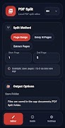 PDF Splitter & Page Extractor screenshot 1