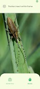 AI Insect Identifier screenshot 3