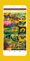 Butterfly wallpaper 截图 3