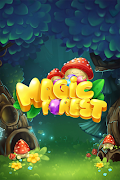 Magic Forest poster