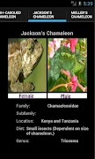 Chameleons スクリーンショット 1