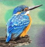 Colored pencil drawing screenshot 4