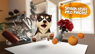 برنامهنما Dog Simulator عکس از صفحه