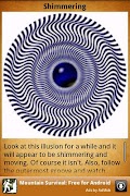 Optical Illusions اسکرین شاٹ 4