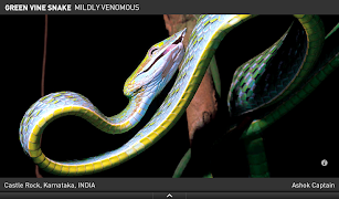 Snakes eGuide スクリーンショット 7