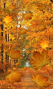 Fall Live Wallpaper 截圖 7