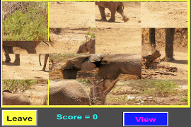 Animal Match screenshot 3