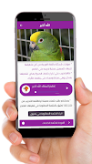 Amazon parrot اسکرین شاٹ 3