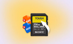 SD Memory Card Formatter screenshot 1