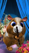 Bercakap hamster. syot layar 5