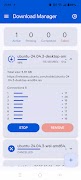 Download Manager Accelerator screenshot 2