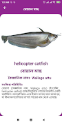 Fishes Name and Pictures screenshot 4