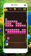 Block Puzzle Jungle স্ক্রিনশট 4