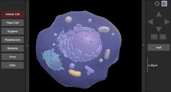 3D Virtual Cell screenshot 1