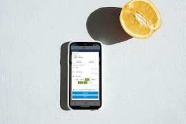 DairyDelight captura de pantalla 1