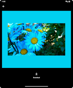 Borders imagem de tela 7