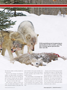 Predator Nation скриншот 3