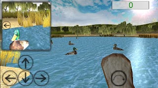 Feed the Duck 3D 截圖 4